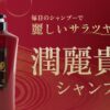 潤麗貴 シャンプー