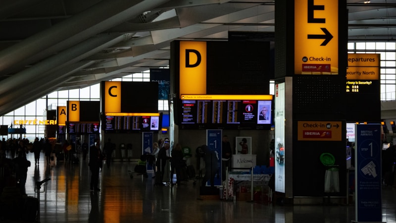 羽田空港で買いたい人気お土産を厳選紹介|ヒルナンデスでも話題のおすすめランキング最新版